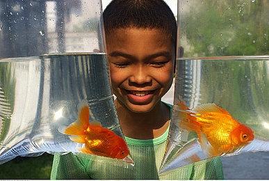   Xbox“幻境风暴”手柄国行版2月19日发售 定价499元