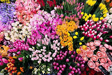 PS将一直专注于剧情单人游戏 也会投身持续服务型