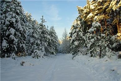 《消逝的光芒2》全新跑酷挑战 本周四正式上线